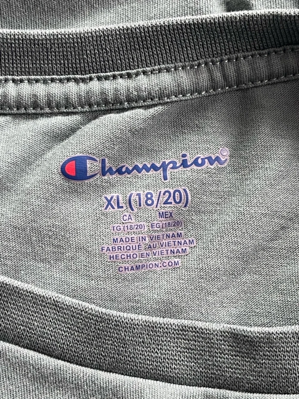 Champion Men's Short Sleeve Crewneck T-Shirt - Sage Green - Picture 6 of 7